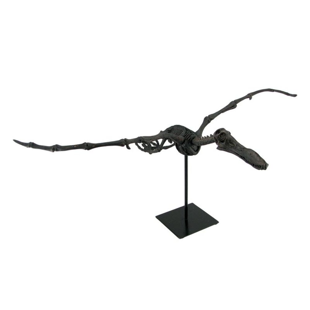 Museum Mounted Pterosaur Flying Dinosaur Fossil Replica Statue